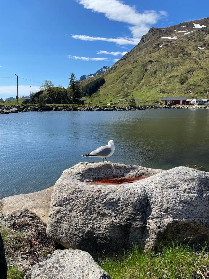 Brustranda Fjordcamping Valberg Extérieur photo